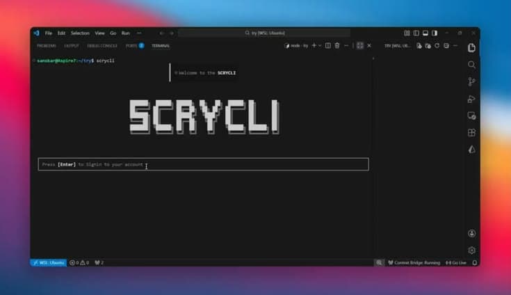 ScryCLI project image